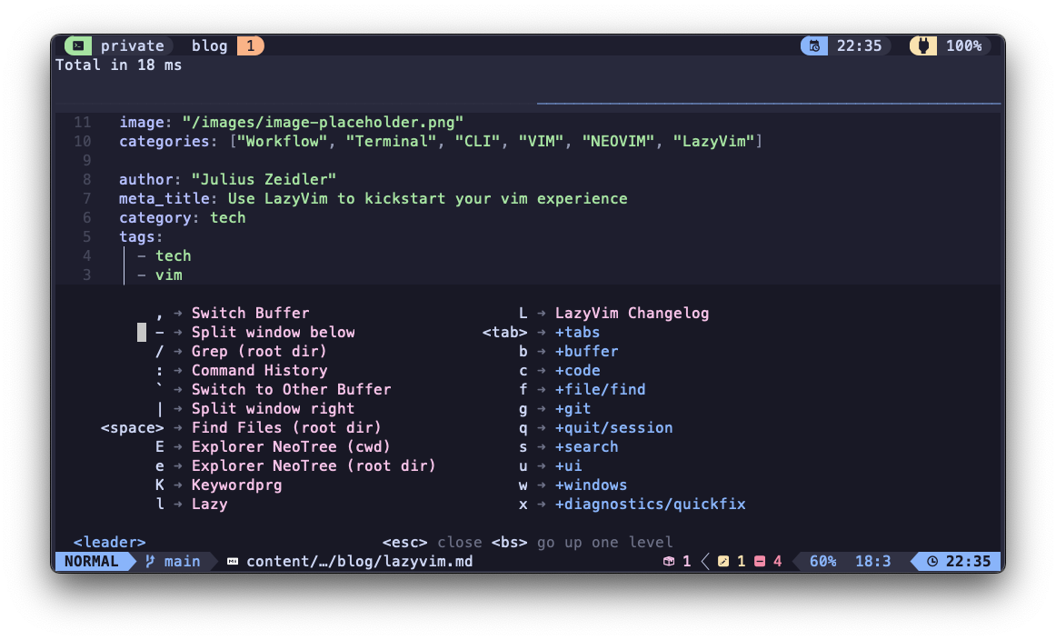 commandline with lazyvim helptext